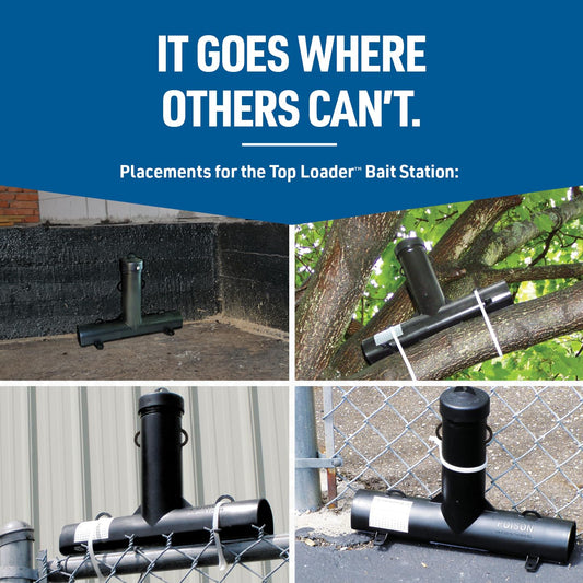 Trampa de plástico de carga superior para ratas – JT Eaton 902